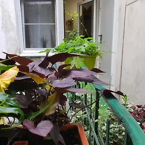 Ok Lux Apartament